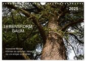 Lebensform Baum (Wandkalender 2025 DIN A4 quer), CALVENDO Monatskalender
