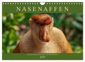 Nasenaffen von Borneo (Wandkalender 2025 DIN A4 quer), CALVENDO Monatskalender