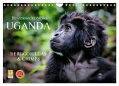 UGANDA - Berggorillas & Chimps (Wandkalender 2025 DIN A4 quer), CALVENDO Monatskalender