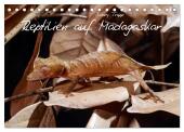 Reptilien auf Madagaskar (Tischkalender 2025 DIN A5 quer), CALVENDO Monatskalender