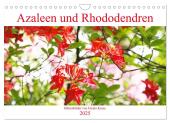 Azaleen und Rhododendren Blütenbilder (Wandkalender 2025 DIN A4 quer), CALVENDO Monatskalender