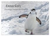 Antarktis, die eisige Heimat der Pinguine (Tischkalender 2025 DIN A5 quer), CALVENDO Monatskalender