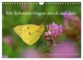 Mit Schmetterlingen durch das Jahr (Wandkalender 2025 DIN A4 quer), CALVENDO Monatskalender