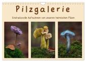 Pilzgalerie - Eindrucksvolle Aufnahmen von unseren heimischen Pilzen (Wandkalender 2025 DIN A4 quer), CALVENDO Monatskal