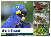 Aras im Pantanal (Wandkalender 2025 DIN A4 quer), CALVENDO Monatskalender