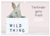 Tierkinder ganz frech (Wandkalender 2025 DIN A4 quer), CALVENDO Monatskalender