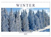 Winter. Zauberhafte Schneelandschaften (Wandkalender 2025 DIN A4 quer), CALVENDO Monatskalender