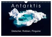 Antarktis Gletscher, Robben, Pinguine (Wandkalender 2025 DIN A4 quer), CALVENDO Monatskalender
