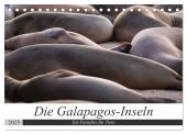 Galapagos-Inseln - Ein Paradies für Tiere (Tischkalender 2025 DIN A5 quer), CALVENDO Monatskalender