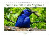 Bunte Vielfalt in der Vogelwelt (Tischkalender 2025 DIN A5 quer), CALVENDO Monatskalender