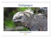Galapagos 2025 - Tiere auf Galapagos (Wandkalender 2025 DIN A4 quer), CALVENDO Monatskalender