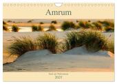 Amrum Insel am Wattenmeer (Wandkalender 2025 DIN A4 quer), CALVENDO Monatskalender