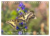 Bunte Pracht der Schmetterlinge (Tischkalender 2025 DIN A5 quer), CALVENDO Monatskalender