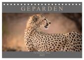 Geparden - Die Schönheiten Afrikas (Tischkalender 2025 DIN A5 quer), CALVENDO Monatskalender