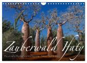Zauberwald Ifaty · Traumhafte Baobabs in Madagaskar (Wandkalender 2025 DIN A4 quer), CALVENDO Monatskalender