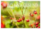 WILD UND GESUND Essbare Wildpflanzen (Wandkalender 2025 DIN A4 quer), CALVENDO Monatskalender