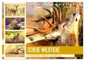 Scheue Wildtiere in heimischen Wäldern und Bergen (Tischkalender 2025 DIN A5 quer), CALVENDO Monatskalender