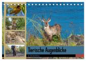Tierische Augenblicke in Südafrika (Tischkalender 2025 DIN A5 quer), CALVENDO Monatskalender