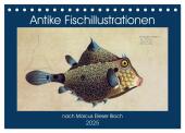 Antike Fischillustrationen nach Marcus Elieser Bloch (Tischkalender 2025 DIN A5 quer), CALVENDO Monatskalender