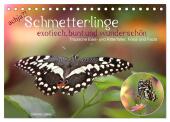 achja?! Schmetterlinge, exotisch, bunt und wunderschön (Tischkalender 2025 DIN A5 quer), CALVENDO Monatskalender