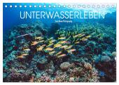 Unterwasserleben (Tischkalender 2025 DIN A5 quer), CALVENDO Monatskalender