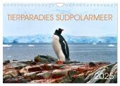 Tierparadies Südpolarmeer (Wandkalender 2025 DIN A4 quer), CALVENDO Monatskalender