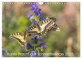Bunte Pracht der Schmetterlinge (Wandkalender 2025 DIN A4 quer), CALVENDO Monatskalender