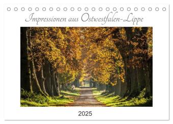 Impressionen aus Ostwestfalen-Lippe (Tischkalender 2025 DIN A5 quer), CALVENDO Monatskalender