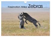Faszination Afrika: Zebras (Wandkalender 2025 DIN A4 quer), CALVENDO Monatskalender