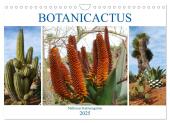 BOTANICACTUS Mallorcas Kakteengarten (Wandkalender 2025 DIN A4 quer), CALVENDO Monatskalender