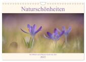 Naturschönheiten - mit Blüten und Pflanzen durch das Jahr (Wandkalender 2025 DIN A4 quer), CALVENDO Monatskalender