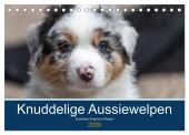 Australian Shepherd Welpen 2025 (Tischkalender 2025 DIN A5 quer), CALVENDO Monatskalender