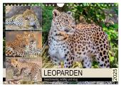 Leoparden. Geschmeidig, kräftig und klug (Wandkalender 2025 DIN A4 quer), CALVENDO Monatskalender