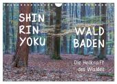 Shinrin yoku - Waldbaden 2025 (Wandkalender 2025 DIN A4 quer), CALVENDO Monatskalender