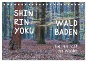 Shinrin yoku - Waldbaden 2025 (Tischkalender 2025 DIN A5 quer), CALVENDO Monatskalender