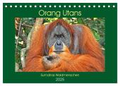 Orang Utans Sumatras Waldmenschen (Tischkalender 2025 DIN A5 quer), CALVENDO Monatskalender