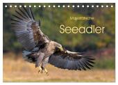 Majestätische Seeadler (Tischkalender 2025 DIN A5 quer), CALVENDO Monatskalender