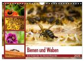 Bienen und Waben (Wandkalender 2025 DIN A4 quer), CALVENDO Monatskalender