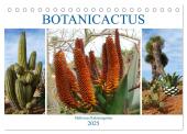 BOTANICACTUS Mallorcas Kakteengarten (Tischkalender 2025 DIN A5 quer), CALVENDO Monatskalender