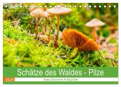 Schätze des Waldes - Pilze (Tischkalender 2025 DIN A5 quer), CALVENDO Monatskalender