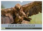 Der Schreiadler (Clanga pomarina) - Deutschands kleinster und stark gefährdeter Adler. (Wandkalender 2025 DIN A4 quer),