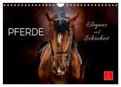 Eleganz und Schönheit - Pferde (Wandkalender 2025 DIN A4 quer), CALVENDO Monatskalender