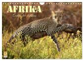 Afrika - Zauber der Wildnis (Wandkalender 2025 DIN A4 quer), CALVENDO Monatskalender