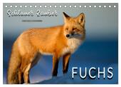 Fuchs - schlauer Räuber (Tischkalender 2025 DIN A5 quer), CALVENDO Monatskalender