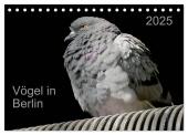 Vögel in Berlin (Tischkalender 2025 DIN A5 quer), CALVENDO Monatskalender
