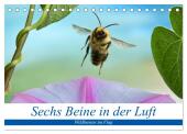 Sechs Beine in der Luft - Wildbienen im Flug (Tischkalender 2025 DIN A5 quer), CALVENDO Monatskalender
