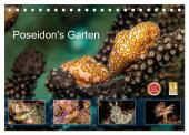 Poseidon's Garten (Tischkalender 2025 DIN A5 quer), CALVENDO Monatskalender