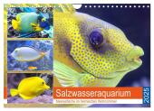 Salzwasseraquarium. Meeresfische im heimischen Wohnzimmer (Wandkalender 2025 DIN A4 quer), CALVENDO Monatskalender