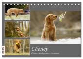 Chesley Kleiner Hund Grosses Abenteuer (Tischkalender 2025 DIN A5 quer), CALVENDO Monatskalender