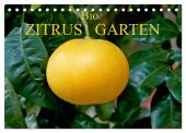 Bio Zitrus Garten (Tischkalender 2025 DIN A5 quer), CALVENDO Monatskalender